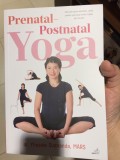Prenatal Postnatal Yoga
