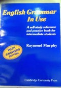 English Grammar In Use